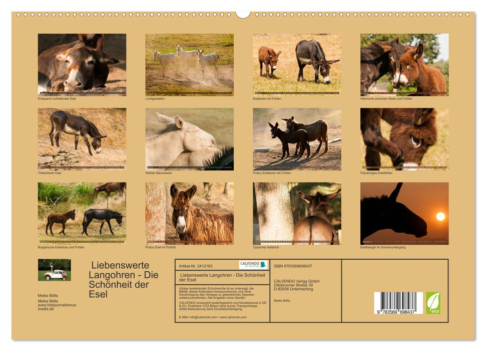 Liebenswerte Langohren - Die Schönheit der Esel (CALVENDO Premium Wandkalender 2027)