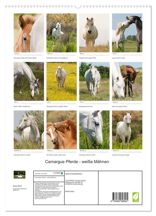 Camargue Pferde - weiße Mähnen (CALVENDO Premium Wandkalender 2027)