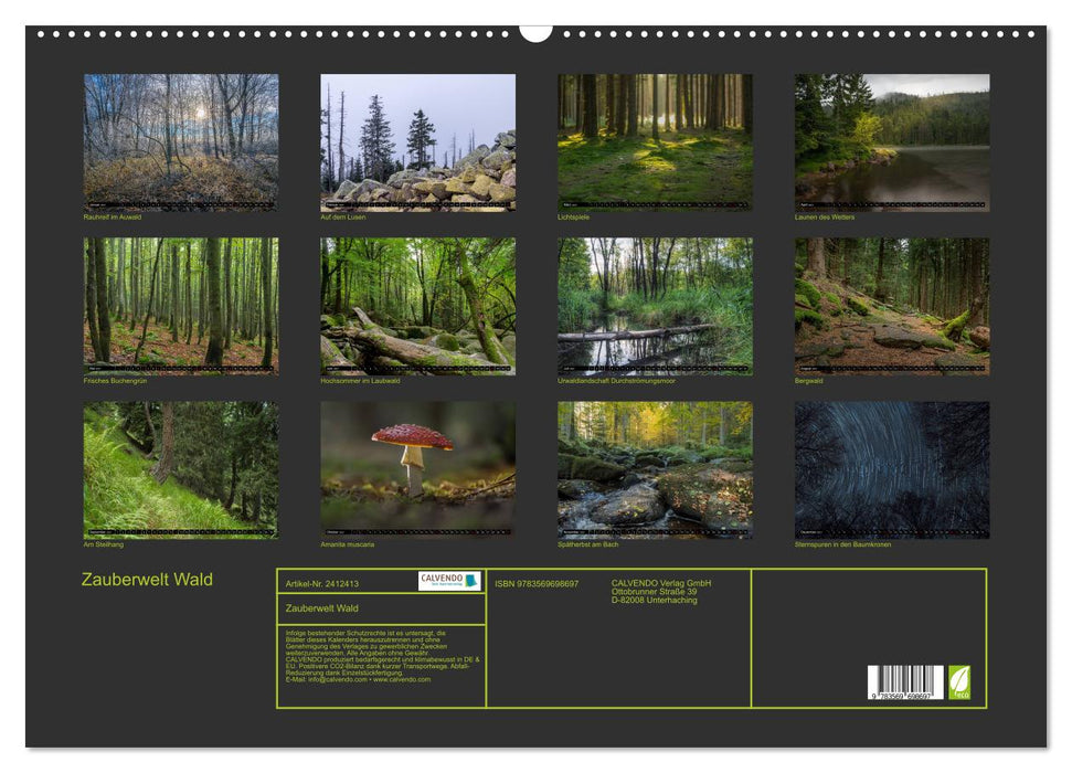 Zauberwelt Wald (CALVENDO Wandkalender 2027)