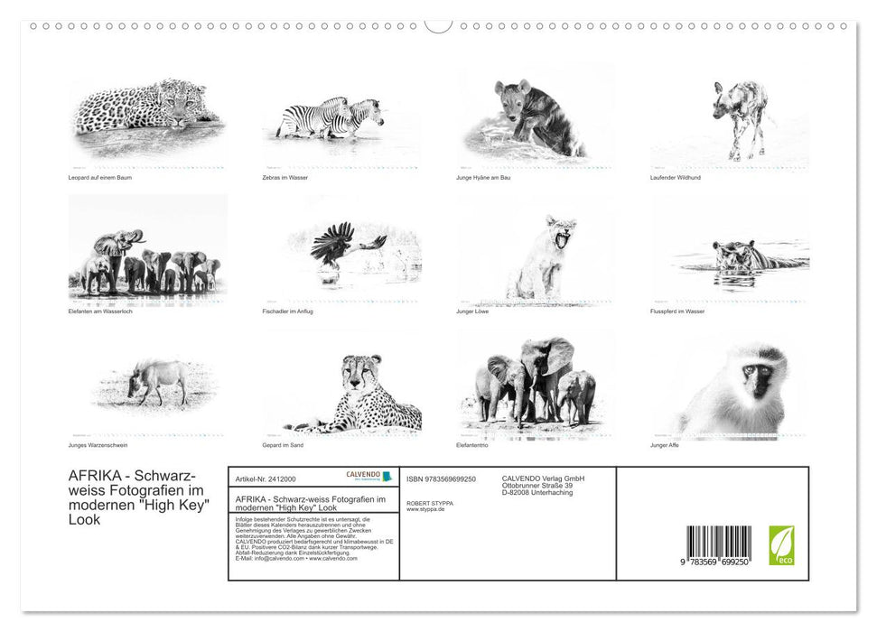 AFRIKA - Schwarz-weiss Fotografien im modernen "High Key" Look (CALVENDO Premium Wandkalender 2027)