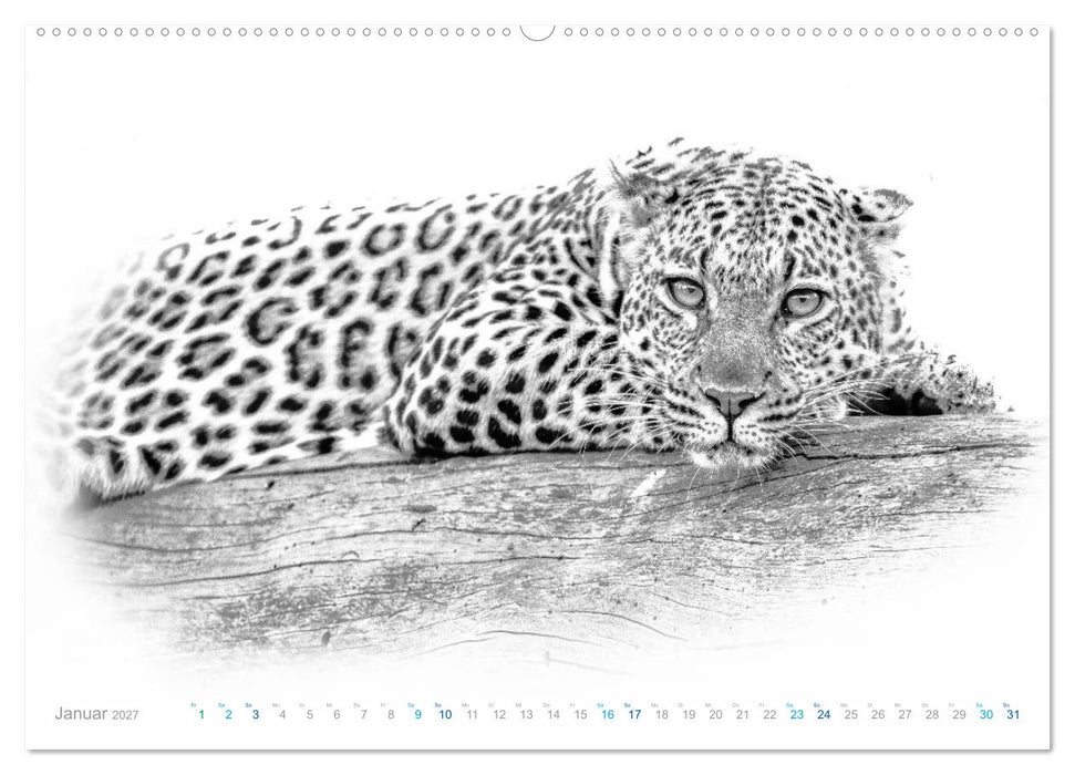 AFRIKA - Schwarz-weiss Fotografien im modernen "High Key" Look (CALVENDO Premium Wandkalender 2027)