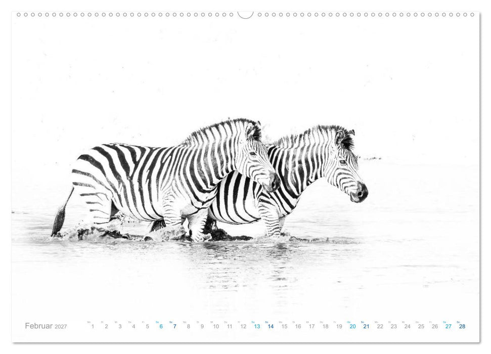 AFRIKA - Schwarz-weiss Fotografien im modernen "High Key" Look (CALVENDO Premium Wandkalender 2027)