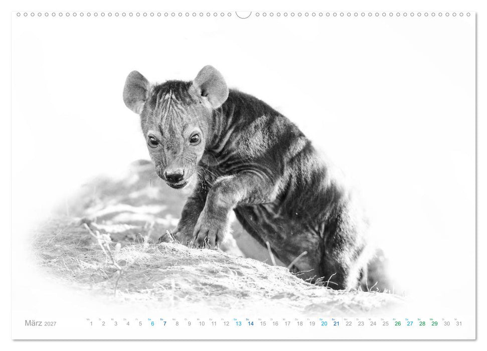 AFRIKA - Schwarz-weiss Fotografien im modernen "High Key" Look (CALVENDO Premium Wandkalender 2027)
