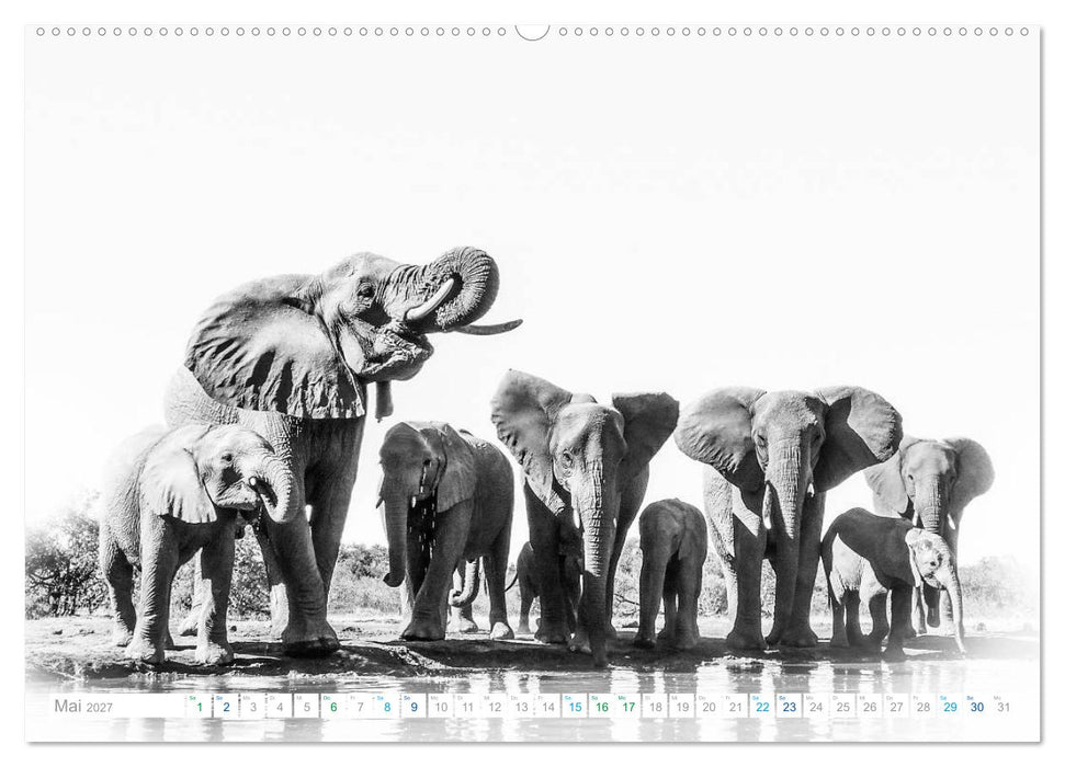 AFRIKA - Schwarz-weiss Fotografien im modernen "High Key" Look (CALVENDO Premium Wandkalender 2027)