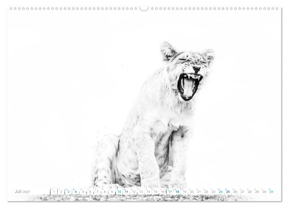 AFRIKA - Schwarz-weiss Fotografien im modernen "High Key" Look (CALVENDO Premium Wandkalender 2027)