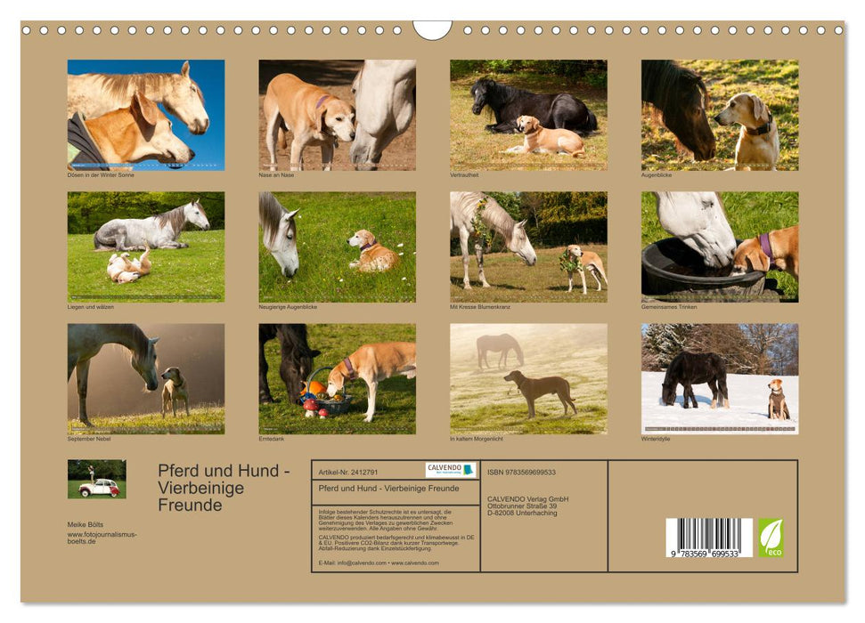 Pferd und Hund - Vierbeinige Freunde (CALVENDO Wandkalender 2027)