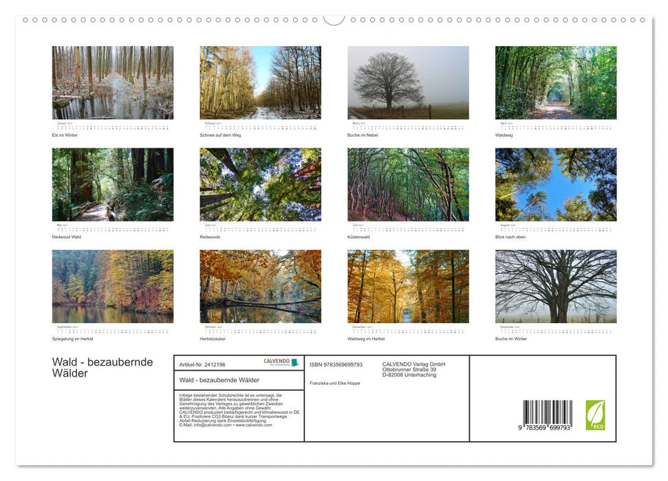 Wald - bezaubernde Wälder (CALVENDO Premium Wandkalender 2027)