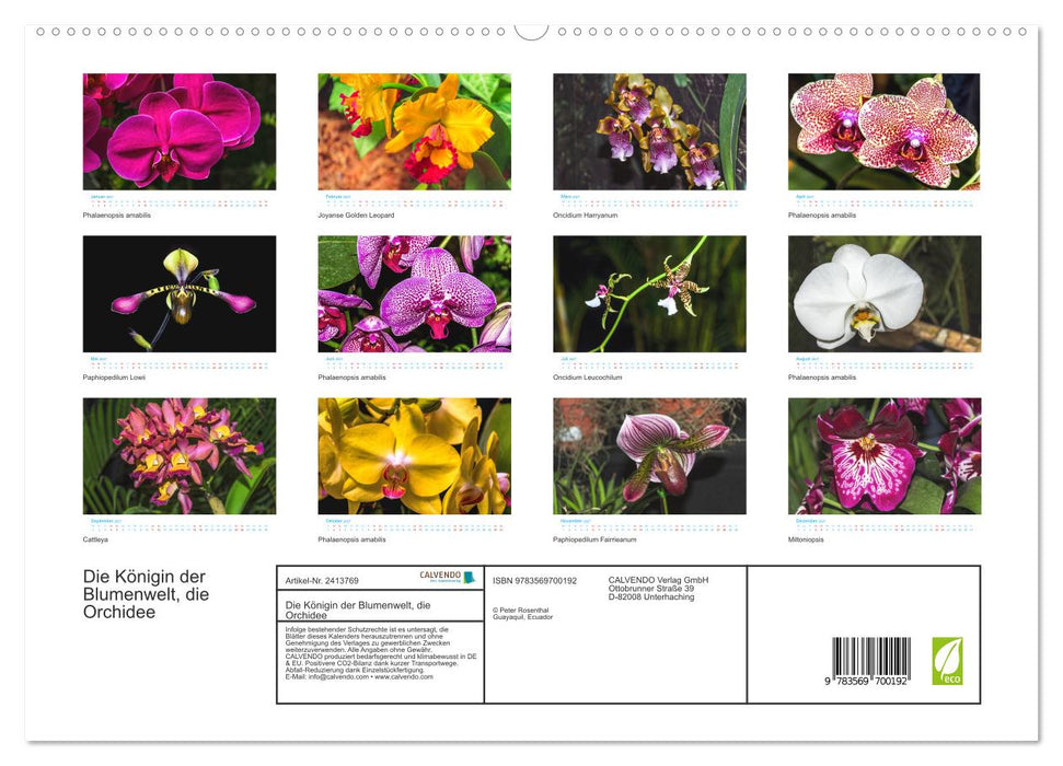Die Königin der Blumenwelt, die Orchidee (CALVENDO Premium Wandkalender 2027)