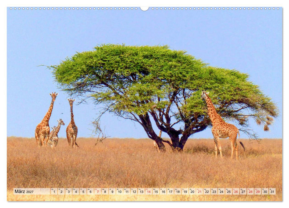 Tansania. Impressionen aus Ostafrika (CALVENDO Wandkalender 2027)