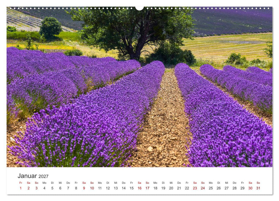 Träume aus Lavendel, Provence in Rosa bis Lila (CALVENDO Premium Wandkalender 2027)