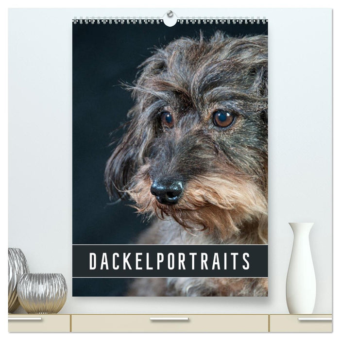 Dackelportraits (CALVENDO Premium Wandkalender 2027)