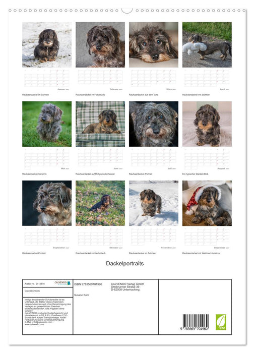 Dackelportraits (CALVENDO Premium Wandkalender 2027)