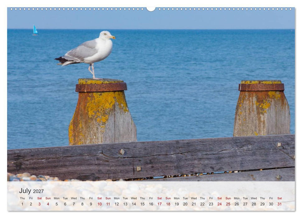 Eastbourne 2027 (CALVENDO Premium-Calendar 2027)