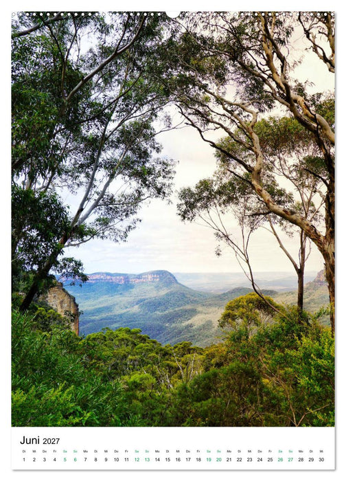 Regenwald - Australien (CALVENDO Premium Wandkalender 2027)