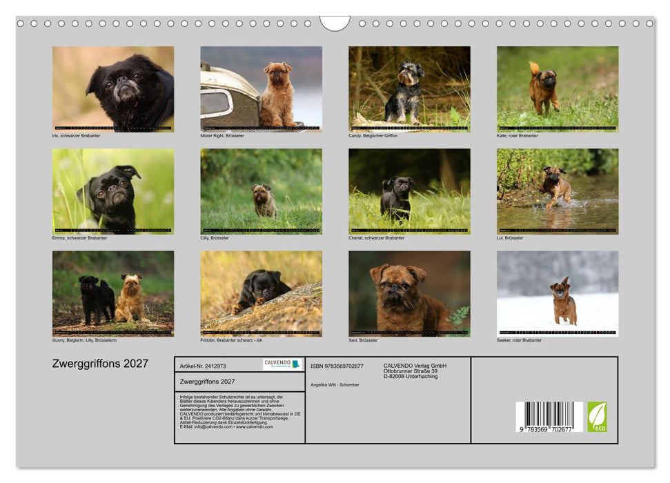 Zwerggriffons 2027 (CALVENDO Wandkalender 2027)