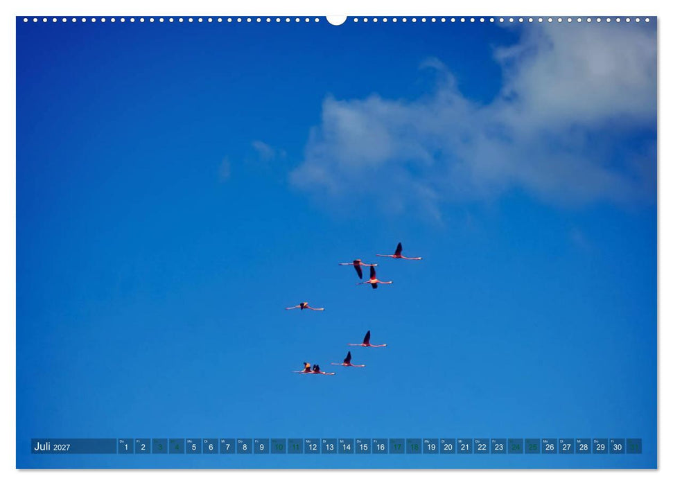 Kuba - Perle der Karibik (CALVENDO Premium Wandkalender 2027)