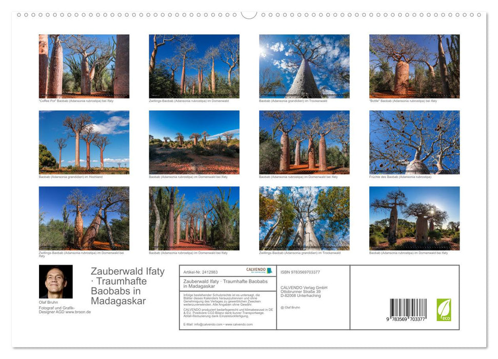 Zauberwald Ifaty · Traumhafte Baobabs in Madagaskar (CALVENDO Premium Wandkalender 2027)