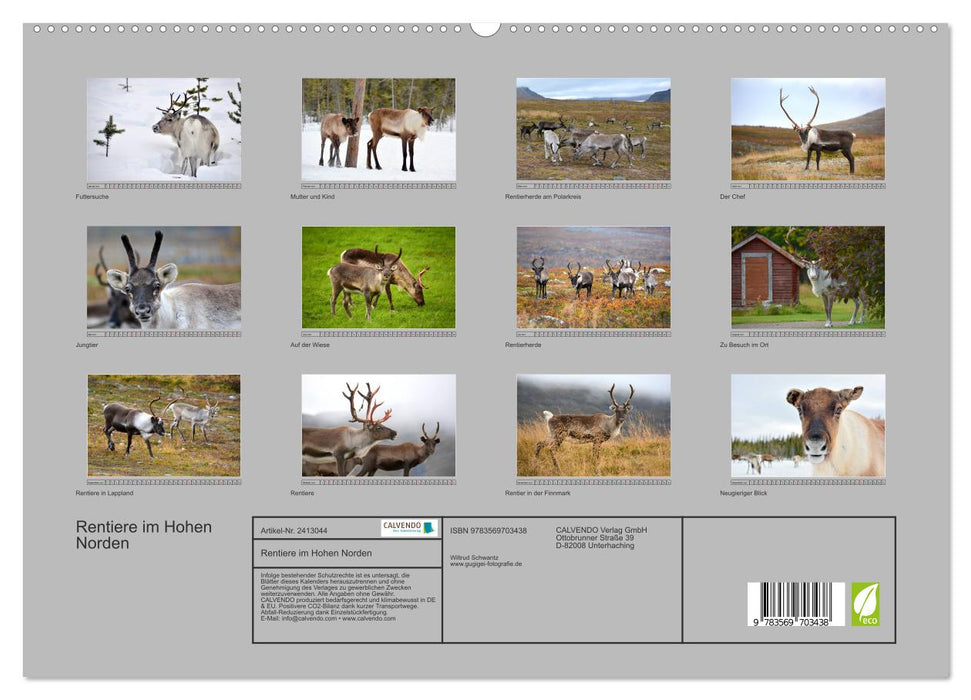 Rentiere im Hohen Norden (CALVENDO Premium Wandkalender 2027)