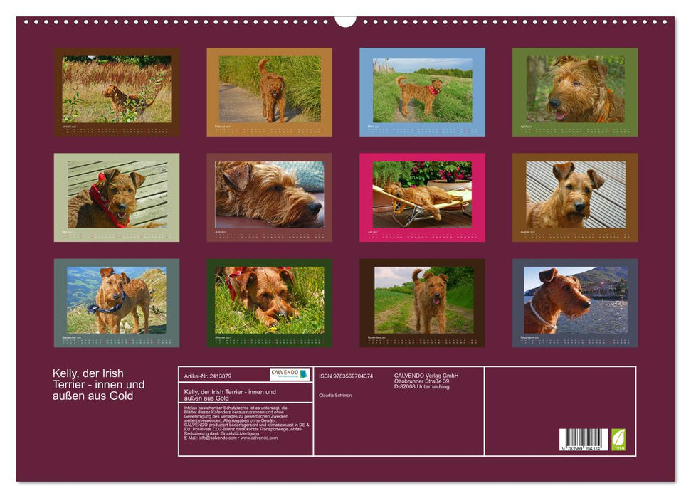 Kelly, der Irish Terrier - innen und außen aus Gold (CALVENDO Wandkalender 2027)