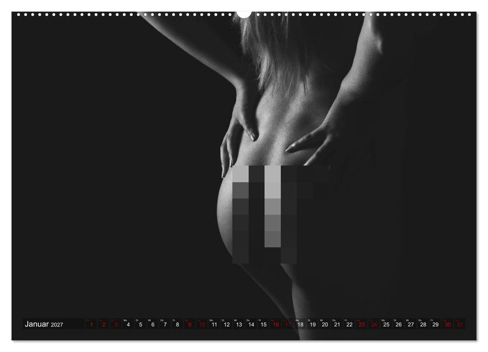 Sensual Secrets (CALVENDO Wandkalender 2027)