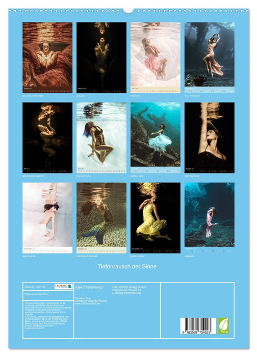 Tiefenrausch der Sinne (CALVENDO Premium Wandkalender 2027)