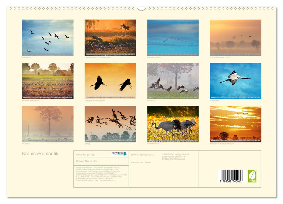 KranichRomantik (CALVENDO Premium Wandkalender 2027)