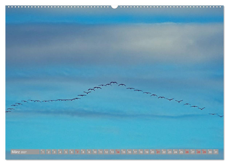 KranichRomantik (CALVENDO Premium Wandkalender 2027)