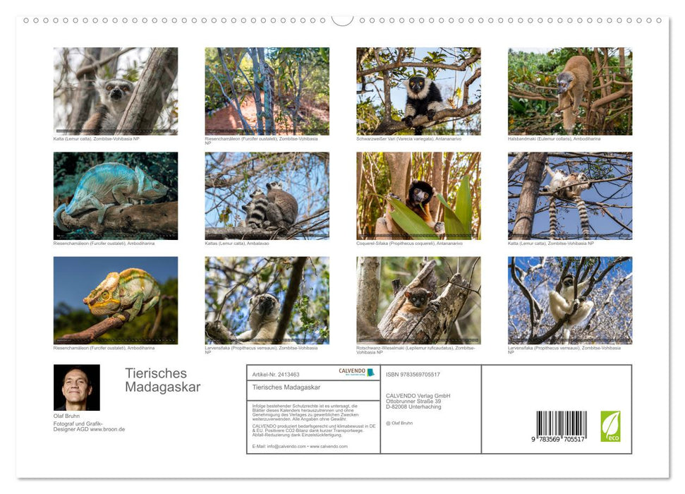 Tierisches Madagaskar (CALVENDO Premium Wandkalender 2027)