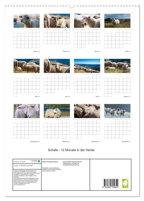 Schafe - 12 Monate in der Herde (CALVENDO Premium Wandkalender 2027)