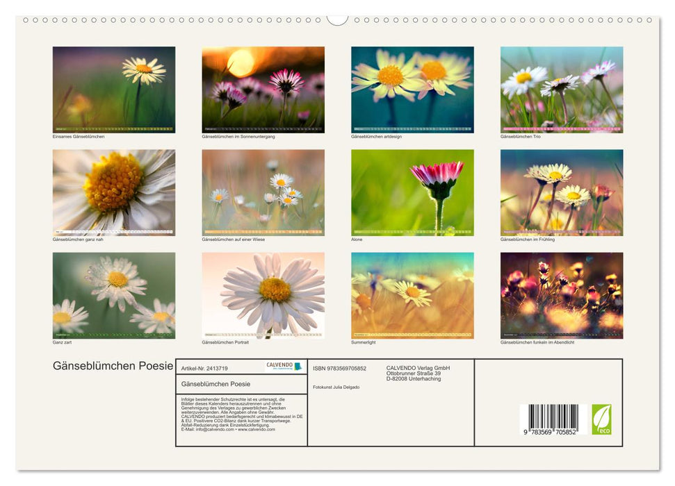 Gänseblümchen Poesie (CALVENDO Premium Wandkalender 2027)