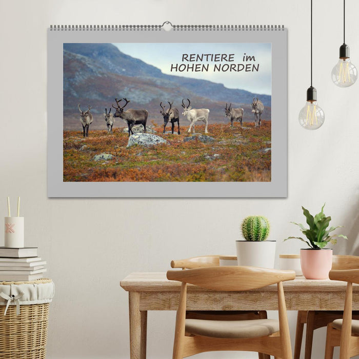 Rentiere im Hohen Norden (CALVENDO Wandkalender 2027)