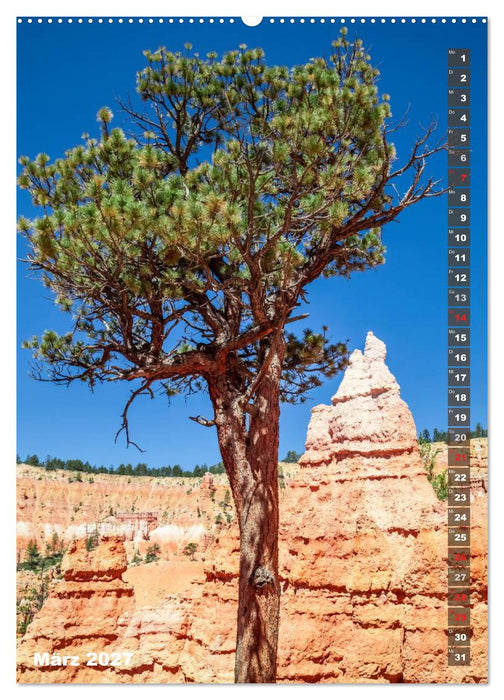 BRYCE CANYON Natur Pur (CALVENDO Wandkalender 2027)