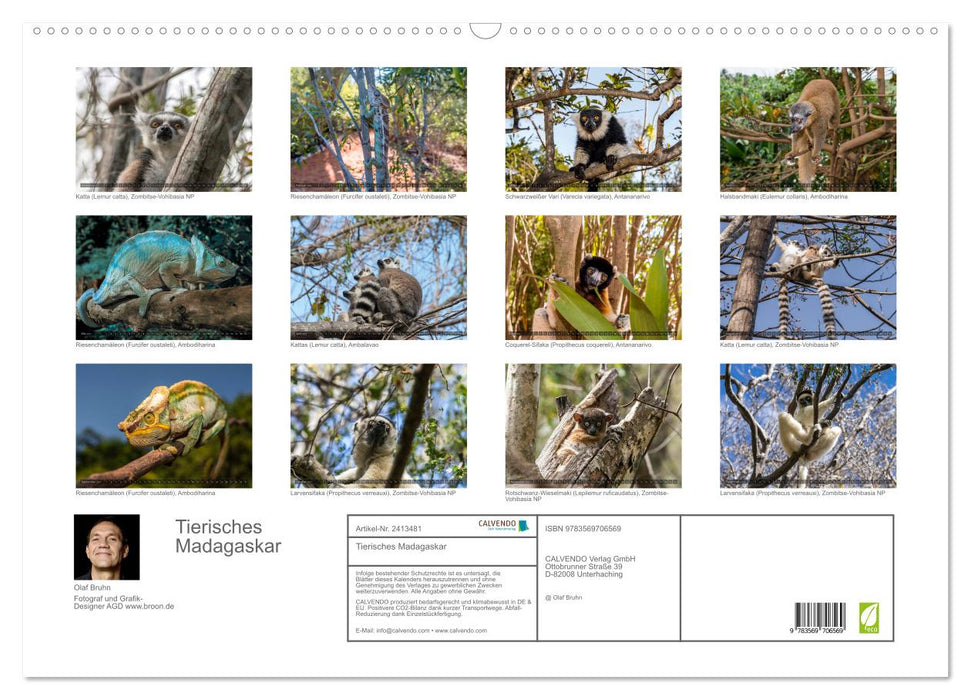 Tierisches Madagaskar (CALVENDO Wandkalender 2027)