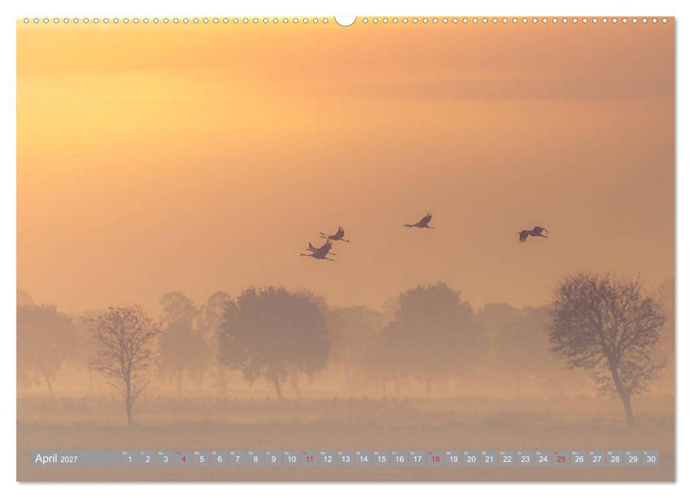 KranichRomantik (CALVENDO Wandkalender 2027)