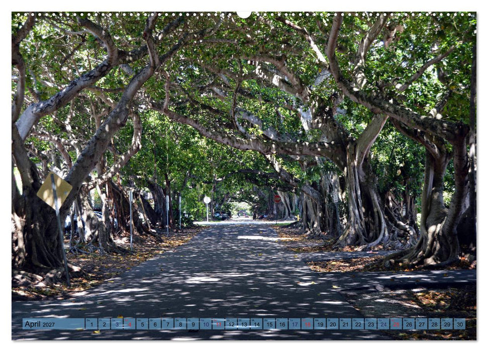 Florida Spots II (CALVENDO Wandkalender 2027)