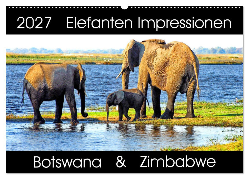 Elefanten Impressionen (CALVENDO Wandkalender 2027)