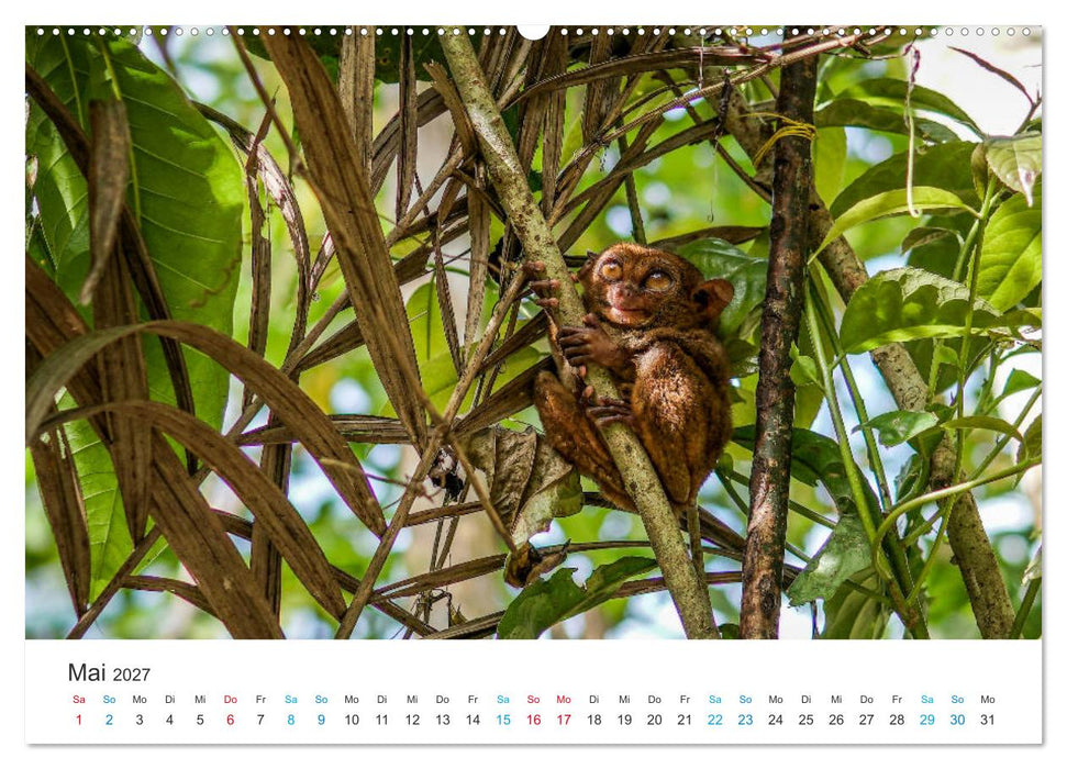 Philippinen - dem Paradies ganz nah (CALVENDO Wandkalender 2027)
