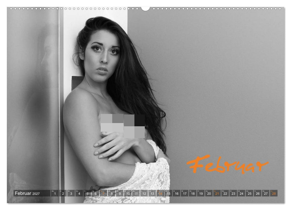 Erotik Fotoart Klassische Aktfotografie (CALVENDO Wandkalender 2027)