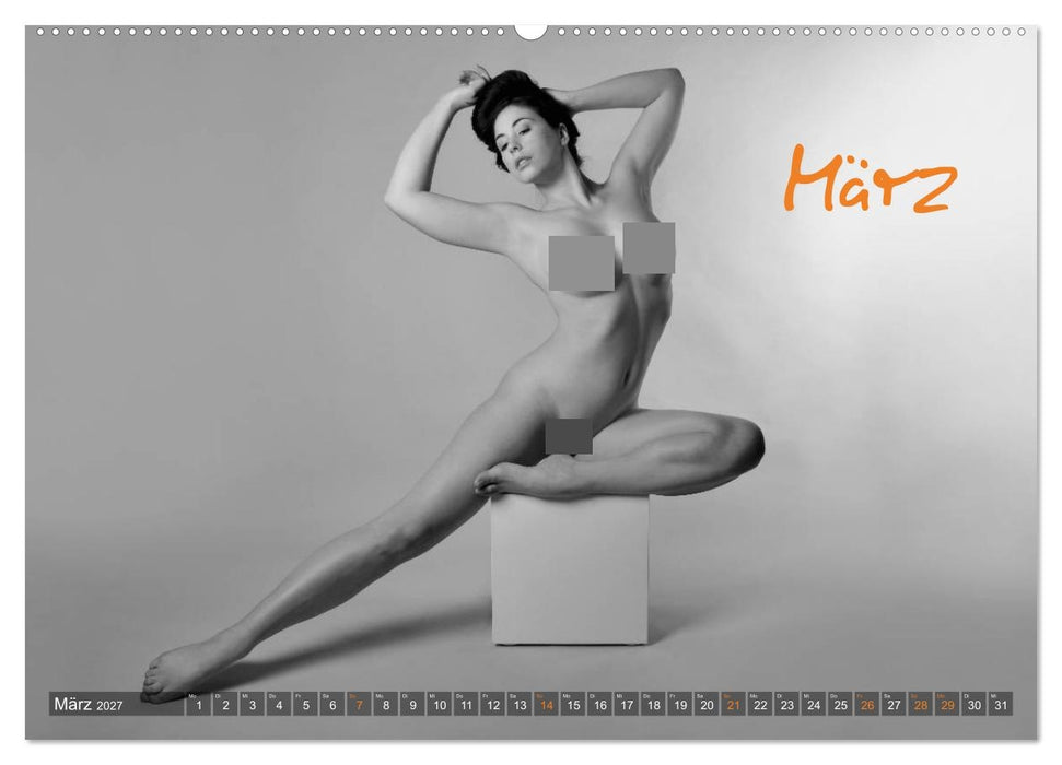 Erotik Fotoart Klassische Aktfotografie (CALVENDO Wandkalender 2027)