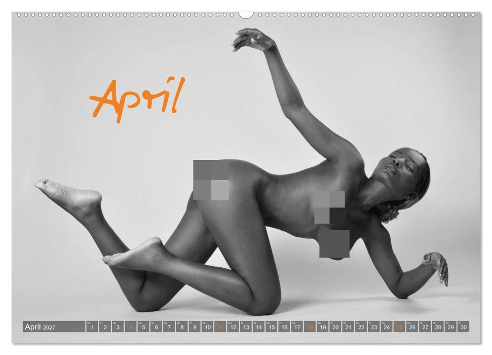 Erotik Fotoart Klassische Aktfotografie (CALVENDO Wandkalender 2027)