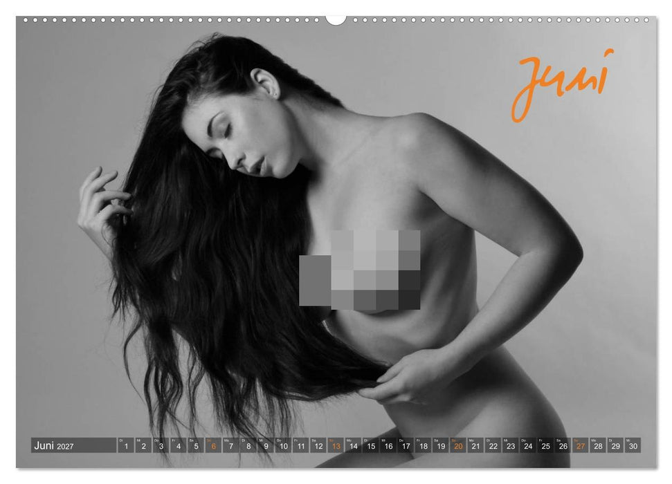 Erotik Fotoart Klassische Aktfotografie (CALVENDO Wandkalender 2027)