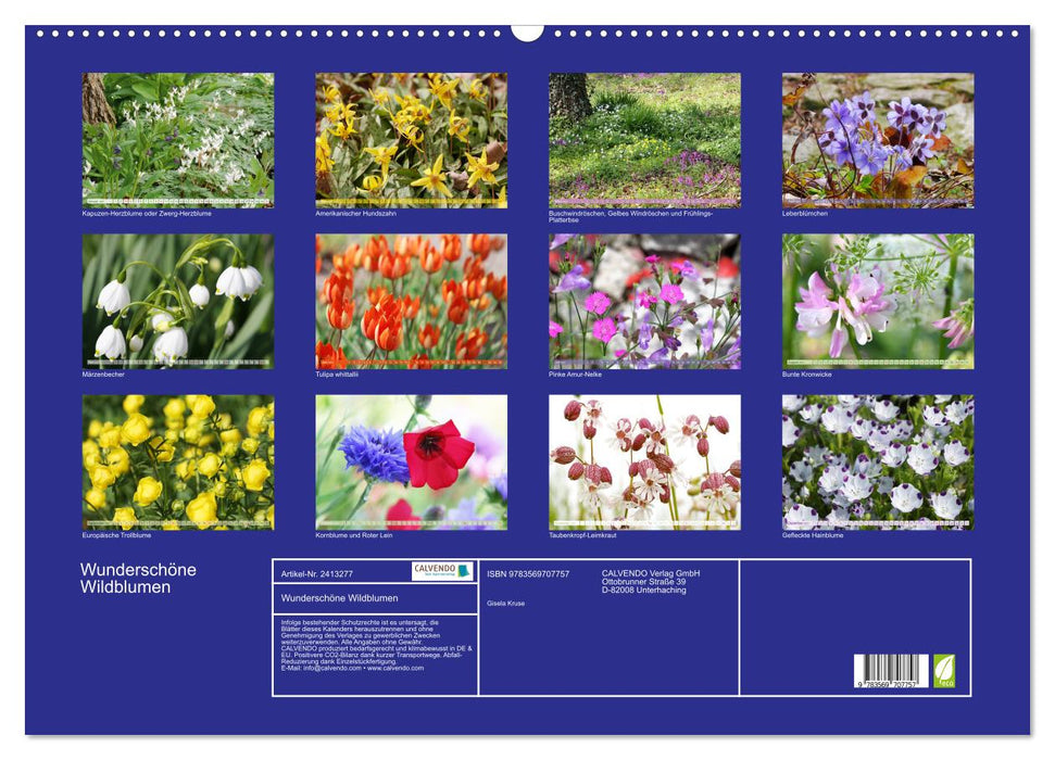 Wunderschöne Wildblumen (CALVENDO Wandkalender 2027)