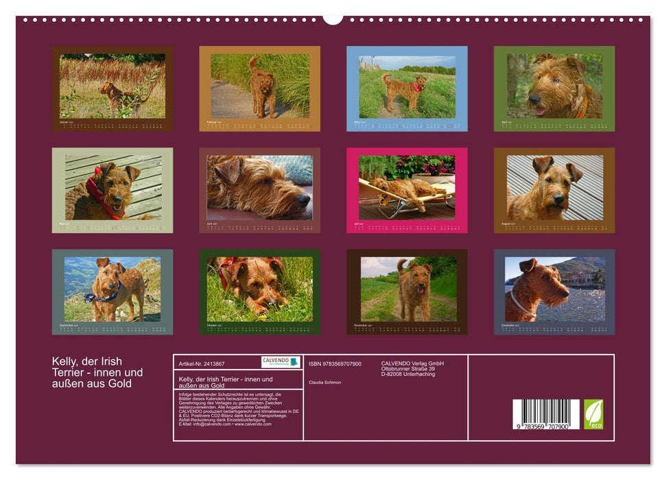 Kelly, der Irish Terrier - innen und außen aus Gold (CALVENDO Premium Wandkalender 2027)