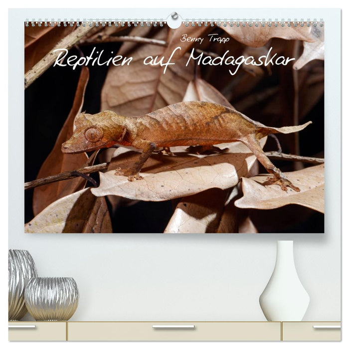Reptilien auf Madagaskar (CALVENDO Premium Wandkalender 2027)