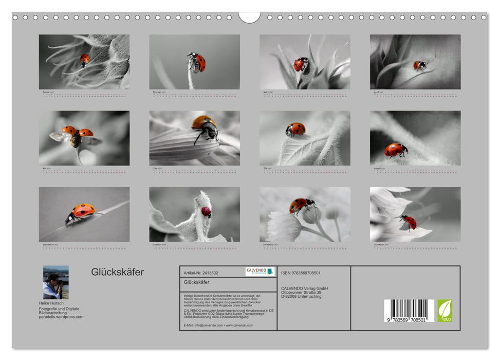 Glückskäfer (CALVENDO Wandkalender 2027)