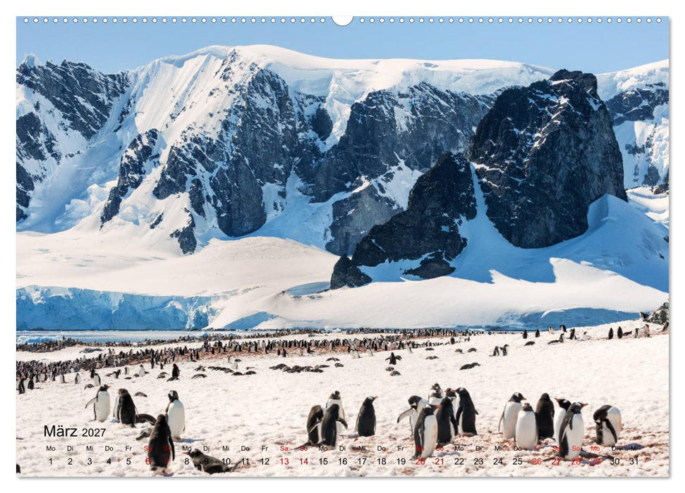 Antarktis, die eisige Heimat der Pinguine (CALVENDO Wandkalender 2027)
