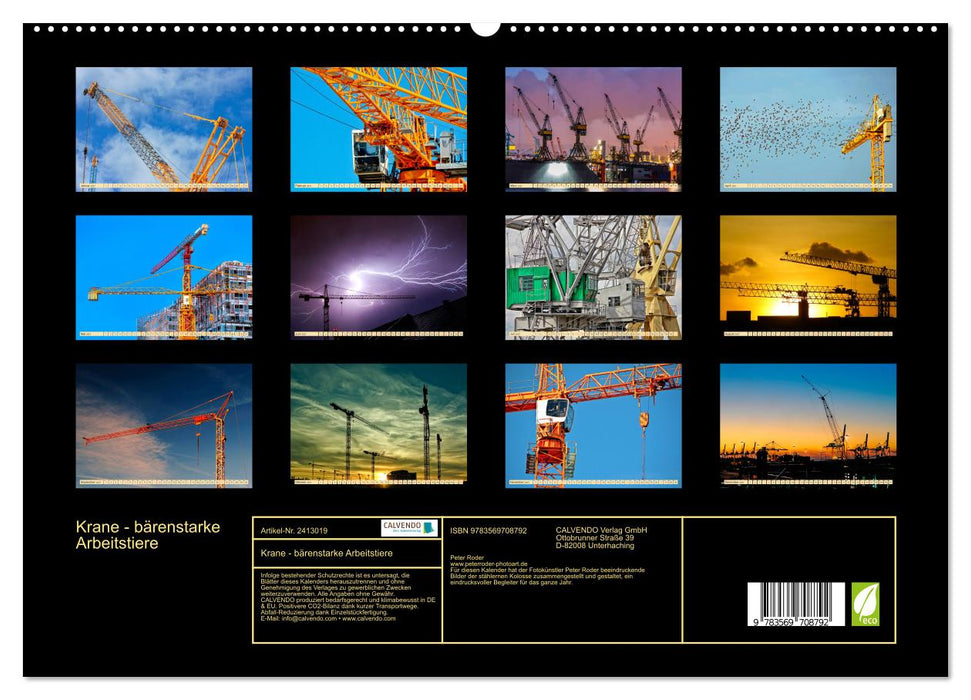 Krane - bärenstarke Arbeitstiere (CALVENDO Premium Wandkalender 2027)