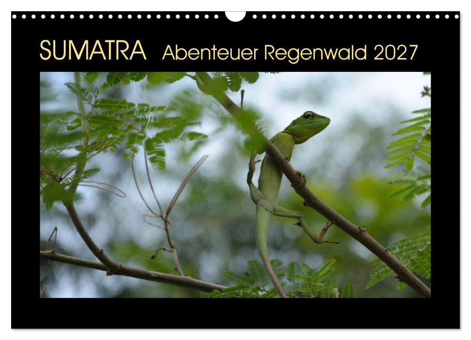 SUMATRA Abenteuer Regenwald (CALVENDO Wandkalender 2027)