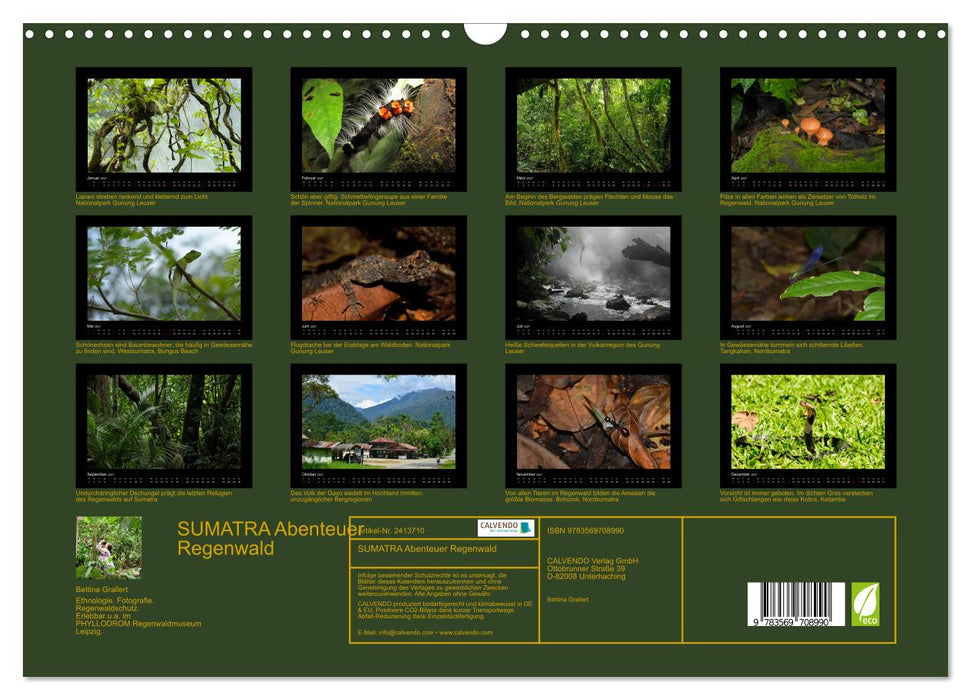 SUMATRA Abenteuer Regenwald (CALVENDO Wandkalender 2027)