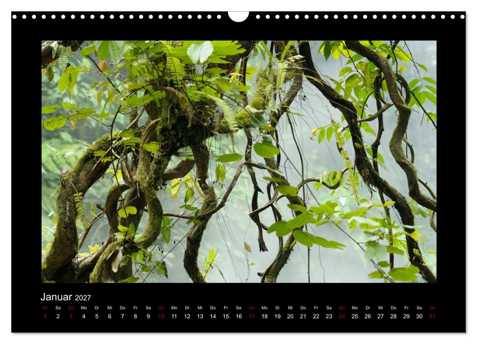 SUMATRA Abenteuer Regenwald (CALVENDO Wandkalender 2027)